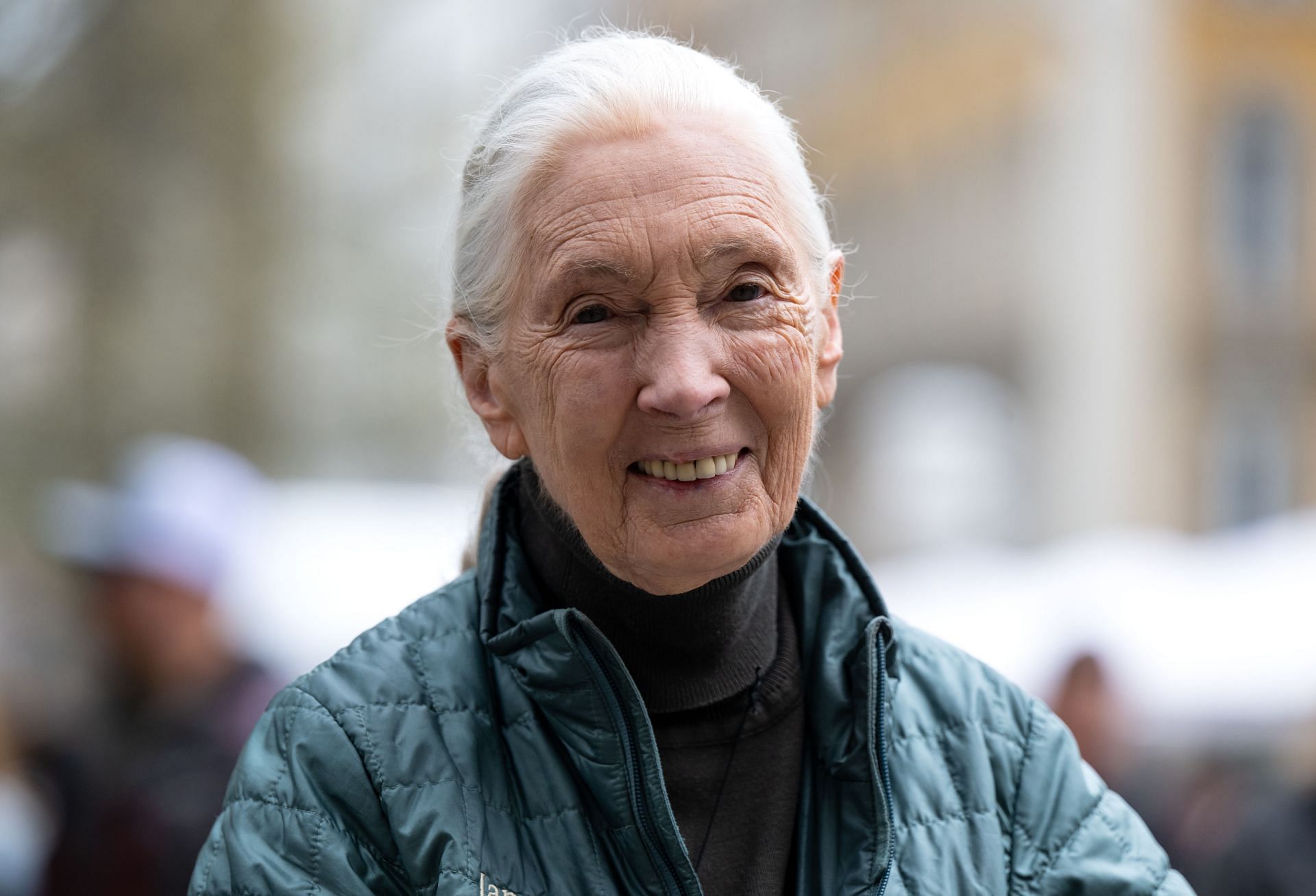 Naturalist Dr. Jane Goodall (Image via Getty)